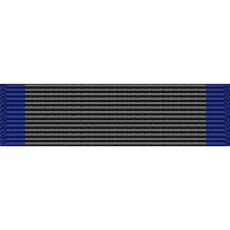 Virginia National Guard Service Ribbon